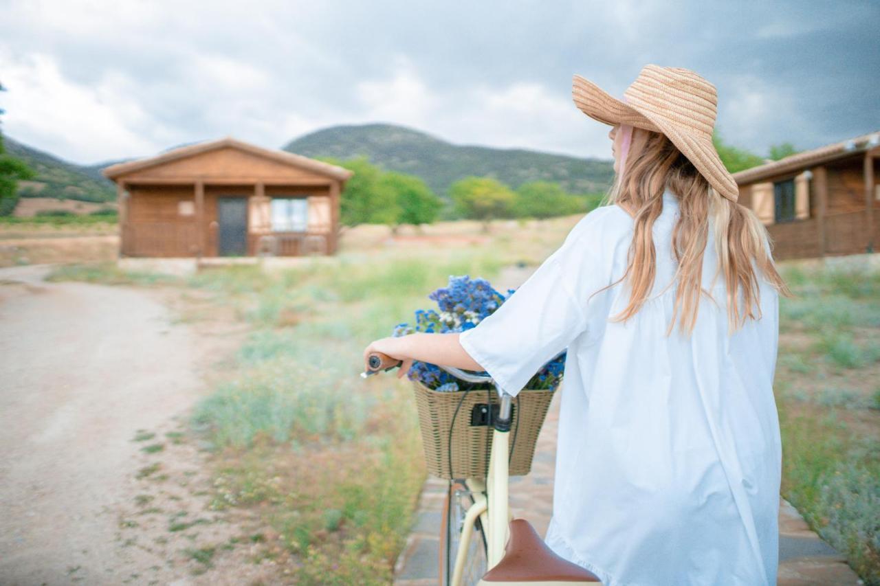 Aldea Los Odres - Cabanas De Madera De 1ª Con Piscina Privada Y Bbq En La Puerta Moratalla  Εξωτερικό φωτογραφία